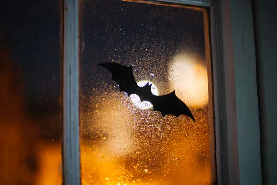 Pourquoi des chauves-souris entrent-elles dans une maison ?-Lampe Gras