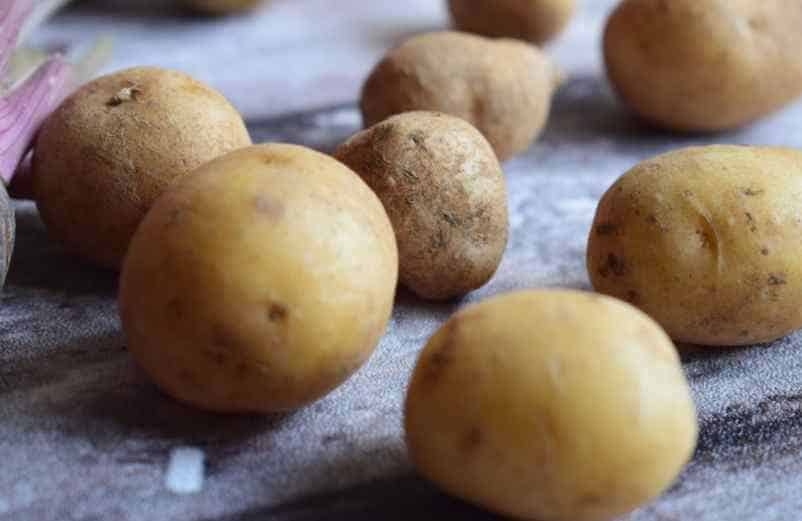 Choisissez les bonnes variétés de pommes de terre Lampe Gras